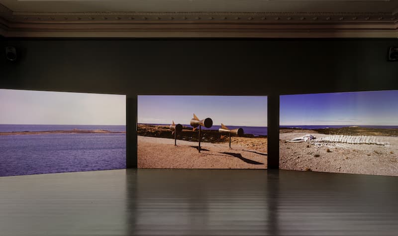 Momentum 13 vista instalacion