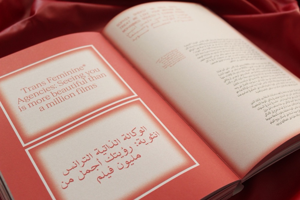 I WILL ALWAYS BE LOOKING FOR YOU, imagen del libro