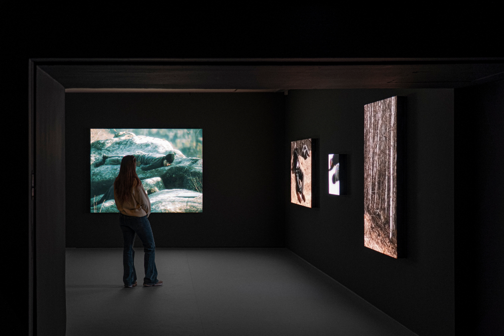 Exhibition gallery at the Museo Nacional Thyssen-Bornemisza. From the installation view of The Wanderer.