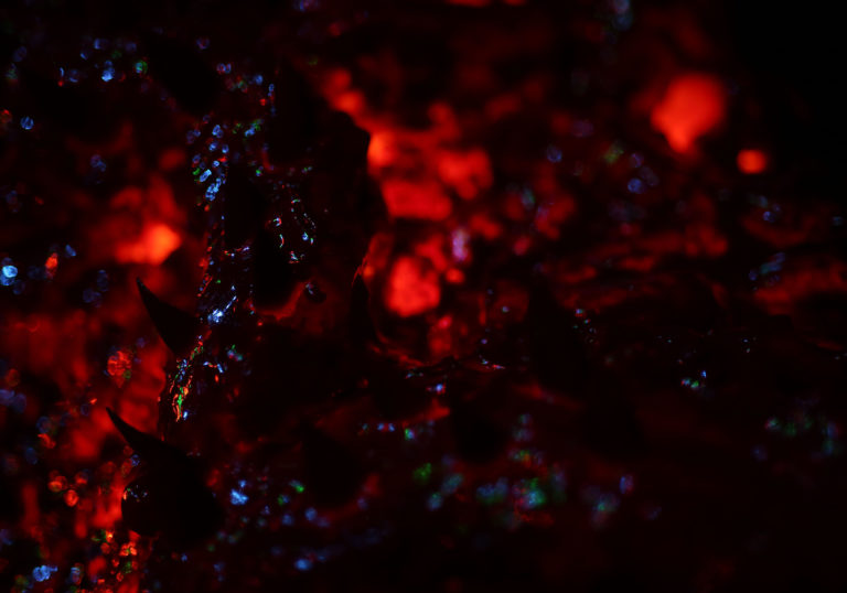 From Transformism to Transformation: Fury, Blood and Lava