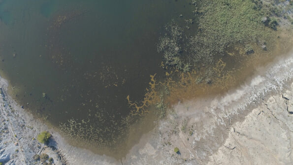 Environmelisma, foto de la manga del mar menor